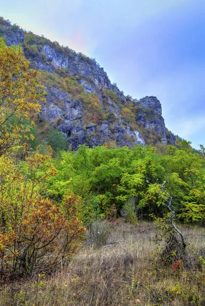 Renkli sonbahar orman ile dağ manzara