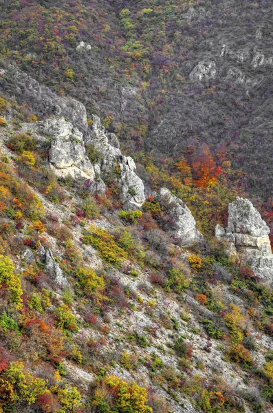 Paisagem na montanha com floresta de outono colorido — Fotografia de Stock