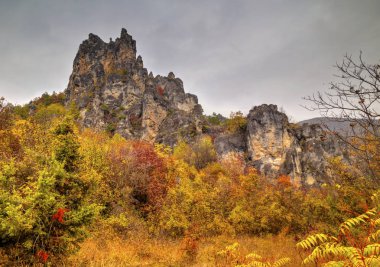 Renkli sonbahar orman ile dağ manzara