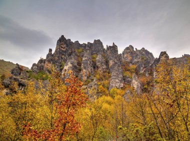 Renkli sonbahar orman ile dağ manzara