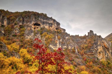 Renkli sonbahar orman ile dağ manzara