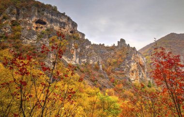Renkli sonbahar orman ile dağ manzara