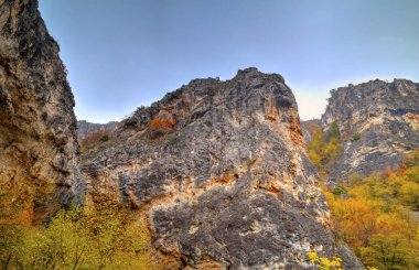 Renkli sonbahar orman ile dağ manzara