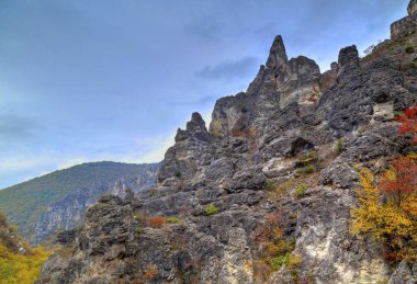 Renkli sonbahar orman ile dağ manzara
