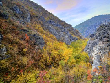 Renkli sonbahar orman ile dağ manzara