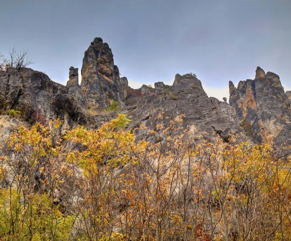 Landschap in de bergen met kleurrijke herfst bos — Stockfoto