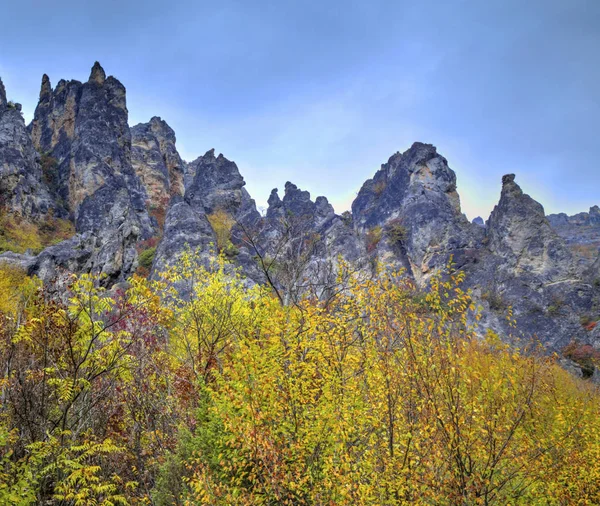 Paisaje en la montaña con colorido bosque otoñal — Foto de Stock