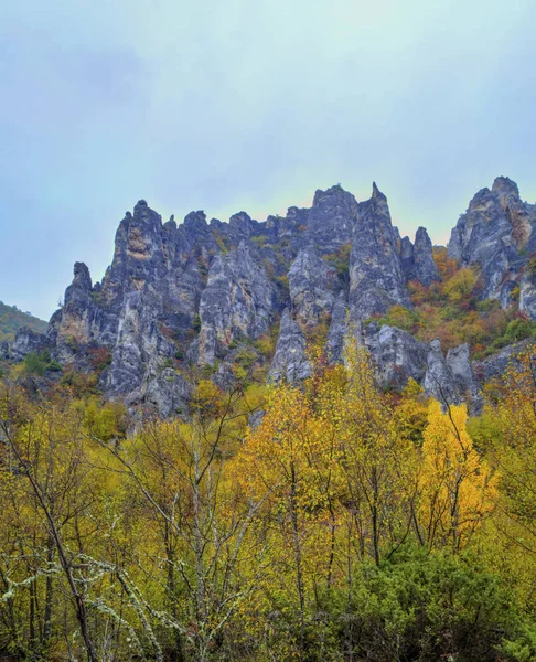Пейзаж в горах с красочным осенним лесом — стоковое фото