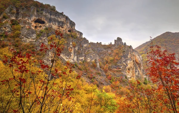 Renkli sonbahar orman ile dağ manzara