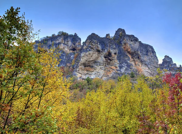 Paisaje en la montaña con colorido bosque otoñal — Foto de Stock