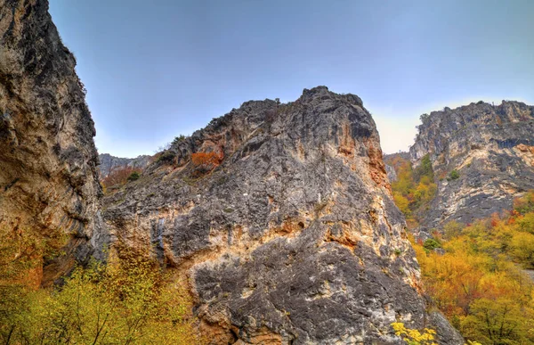Renkli sonbahar orman ile dağ manzara