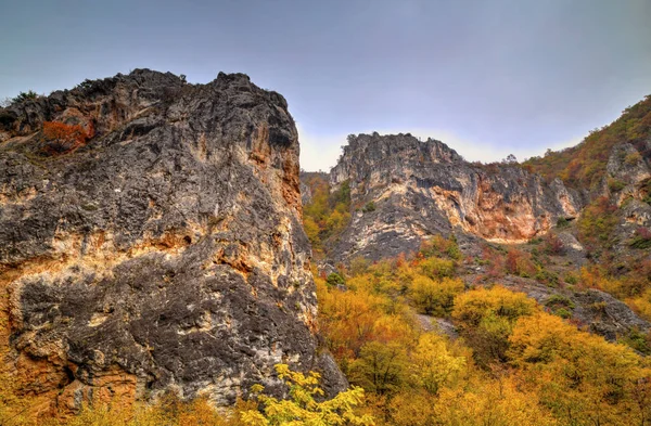 Paisaje en la montaña con colorido bosque otoñal — Foto de Stock