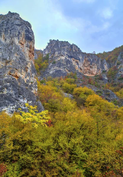 Пейзаж в горах з барвистим осіннім лісом — стокове фото