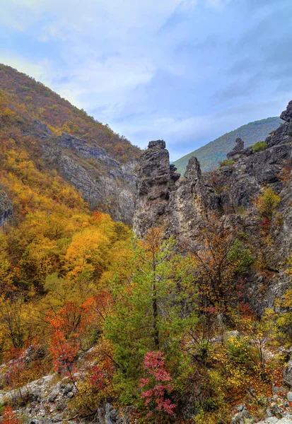 Renkli sonbahar orman ile dağ manzara — Stok fotoğraf