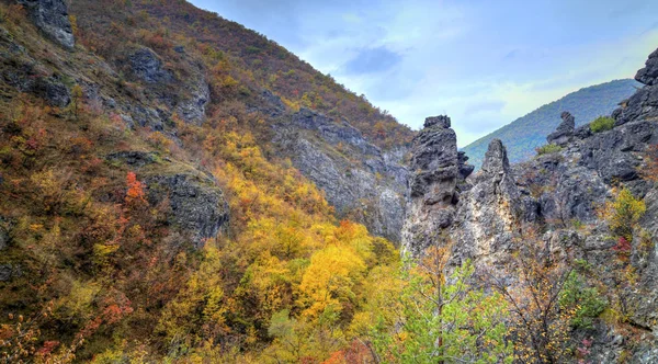 Пейзаж в горах з барвистим осіннім лісом — стокове фото