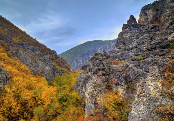Paisaje en la montaña con colorido bosque otoñal —  Fotos de Stock