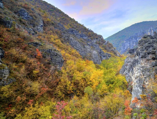 Пейзаж в горах с красочным осенним лесом — стоковое фото