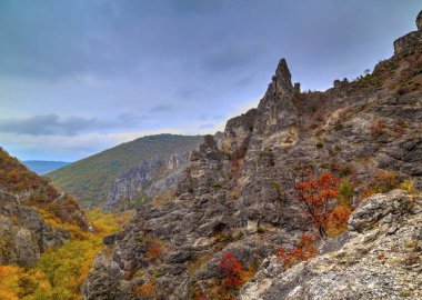 Dağ manzarası ile renkli sonbahar orman