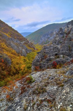 Dağ manzarası ile renkli sonbahar orman