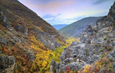 Dağ manzarası ile renkli sonbahar orman