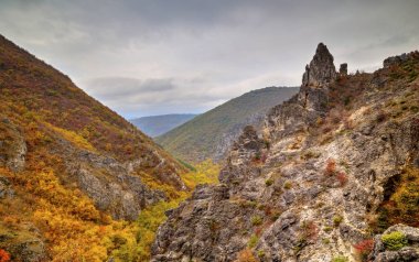 Dağ manzarası ile renkli sonbahar orman