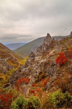 Dağ manzarası ile renkli sonbahar orman