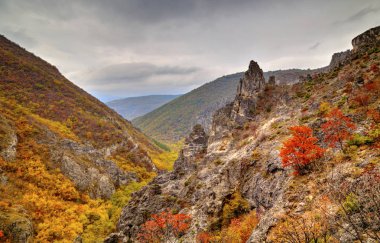 Dağ manzarası ile renkli sonbahar orman
