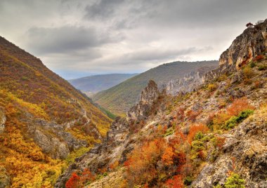 Dağ manzarası ile renkli sonbahar orman