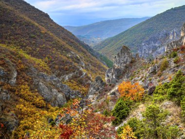 Dağ manzarası ile renkli sonbahar orman