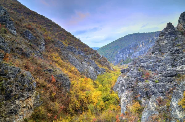 Paisaje de montaña con bosque de otoño colorido — Foto de Stock