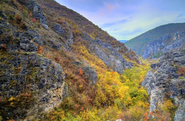 Krajobraz górski z kolorowa jesień las — Zdjęcie stockowe