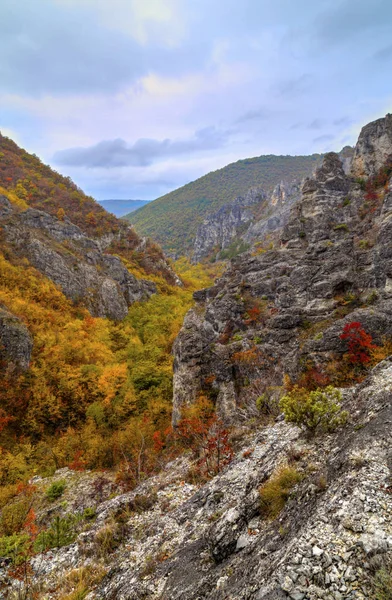 Berglandschaft mit buntem Herbstwald — Stockfoto