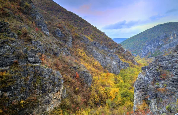 Paisaje de montaña con bosque de otoño colorido — Foto de Stock