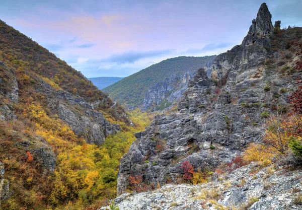 Dağ manzarası ile renkli sonbahar orman