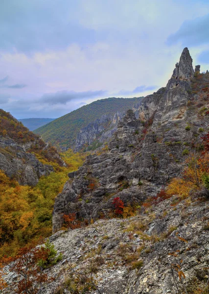 山风景用多彩的秋天的树林 — 图库照片