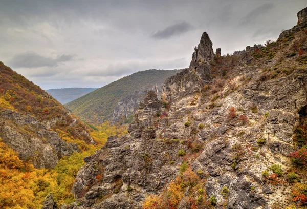 Dağ manzarası ile renkli sonbahar orman