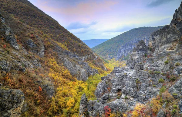 Dağ manzarası ile renkli sonbahar orman