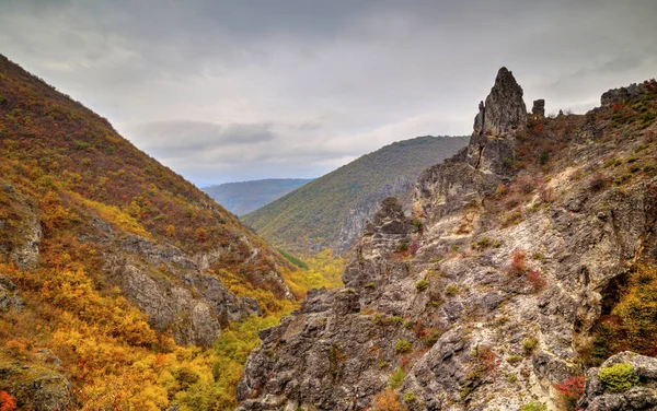 Dağ manzarası ile renkli sonbahar orman