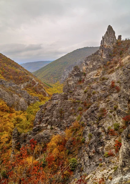 Dağ manzarası ile renkli sonbahar orman
