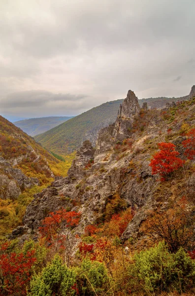Dağ manzarası ile renkli sonbahar orman