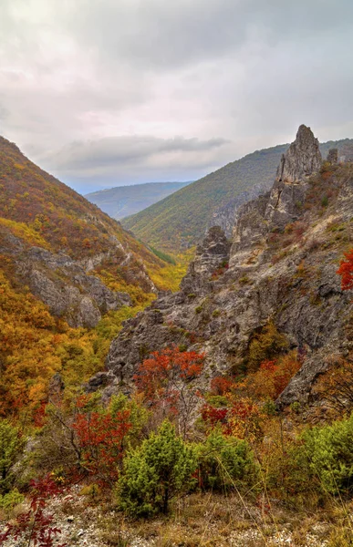 Гірський пейзаж з барвистим осіннім лісом — стокове фото