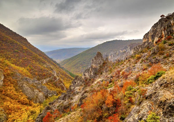 Dağ manzarası ile renkli sonbahar orman