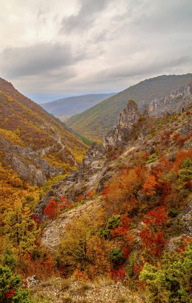 Dağ manzarası ile renkli sonbahar orman