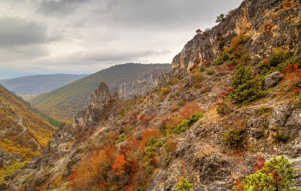 Горный пейзаж с красочными осенними лесами — стоковое фото