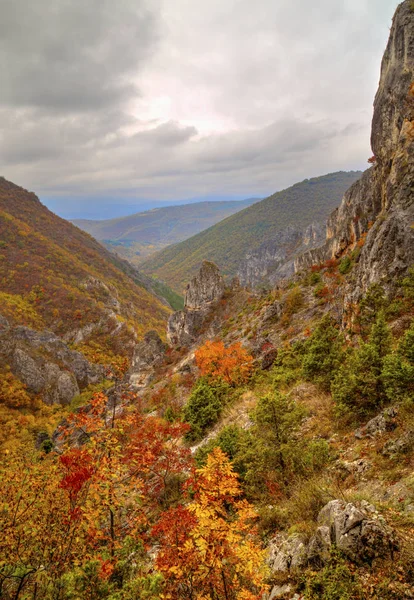 Dağ manzarası ile renkli sonbahar orman