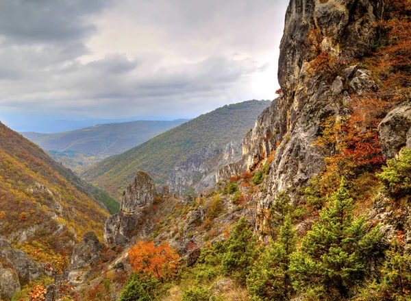 Dağ manzarası ile renkli sonbahar orman