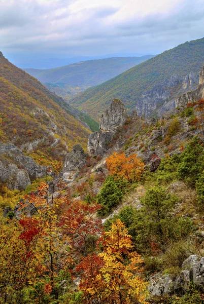 Dağ manzarası ile renkli sonbahar orman