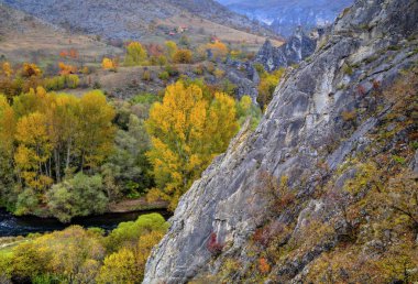 Renkli sonbahar orman ile dağ manzara