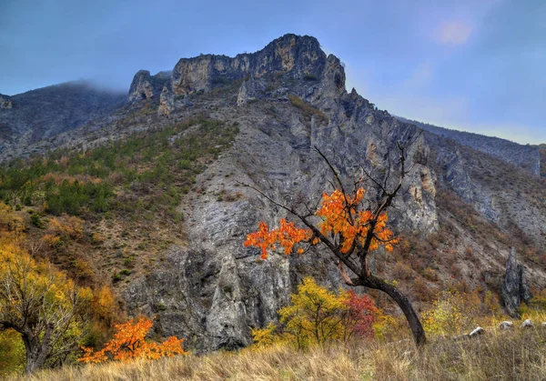 Пейзаж в горах — стоковое фото