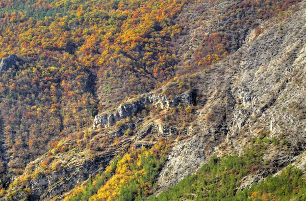 Пейзаж в горах з барвистим осіннім лісом — стокове фото